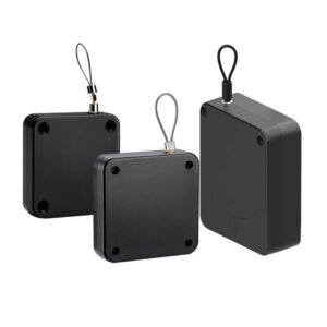 โรบัสท์