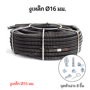 โรบัสท์