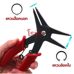 โรบัสท์