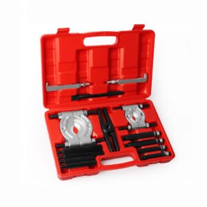 โรบัสท์